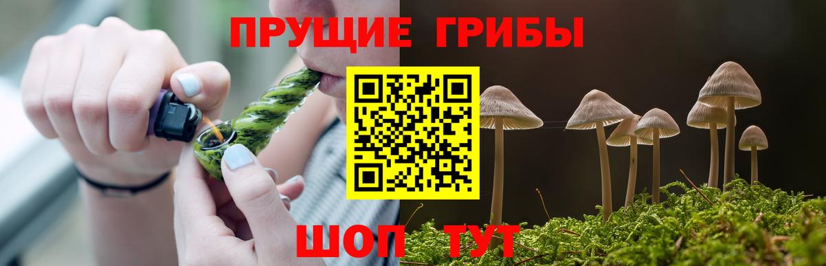 Северобайкальск  Псилоцибиновые грибы Magic Shrooms  Вход с VPN 